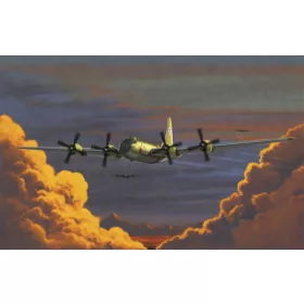 Academy - Usaaf B-29A "Old Battler"