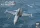 AFV-Club - ROCAF Northrop F-5E Tiger II Fighter Bomber