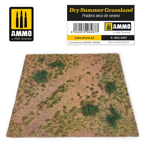 AMMO - Dry Summer Grassland