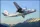 Amodel - Antonov An-30 repülő makett