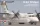 Micro Mir  AMP - E-9A Widget/ DHC-8-106 Dash 8 Caribbean Coast Guard