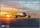 Micro Mir  AMP - Airbus A310 MRTT/CC-150 Polaris Canadian AF   Government