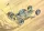 AMT - SANDKAT DUNE DRAGSTER