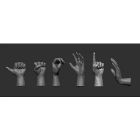 Art Scale - Hands - Ruce