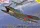 AZ Model - 1/72 Yokosuka D4Y2-S  Judy   Night Fighter 