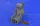 Eduard - Su-7 seat for KP-Models