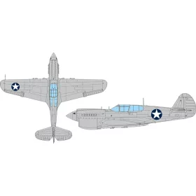 Eduard - P-40E US national insignia circular  EDUARD