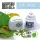 Green Stuff World - Miniature Leaf Punch LIGHT BLUE - only lime