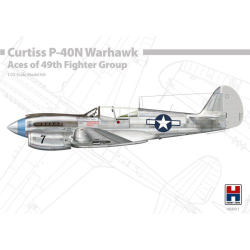 Hobby 2000 - P-40N Warhawk Aces of The 49th Fighter Group