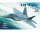 Hobby Boss - F-22A   Raptor  
