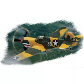Hobbyboss - P-40E   Kitty Hawk  