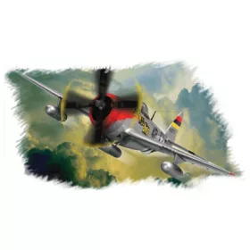 Hobbyboss - P-47D   Thunderbolt  