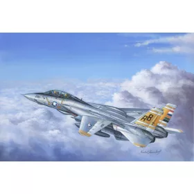 Hobbyboss - F-14A Tomcat repülő makett