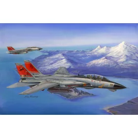 Hobbyboss - F-14D Super Tomcat repülő makett