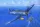 Hobbyboss - F4U-5 Corsair repülő makett