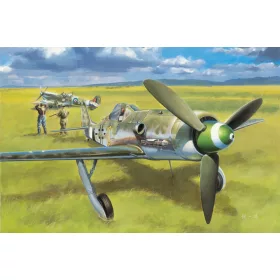 Hobbyboss - Focke-Wulf Fw190D-13