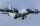 Hobbyboss - Chinese Y-9
