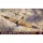 IBG - Supermarine Spitfire Mk Vb (Trop.) North Africa