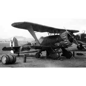ICM - Hs 123A-1 Legion Condor