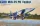 Kitty Hawk - MIG-25 PU Foxbat