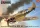 Kovozavody Prostejov - 1/72 Spitfire Mk.Vc Trop   USAAF over Corsica 