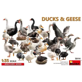 Miniart - Ducks & Geese