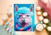 Milliwood - Christina chicky alpaca