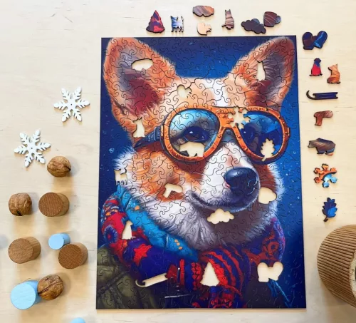 Milliwood - Colin corgi dog