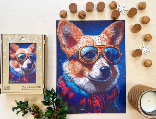 Milliwood - Colin corgi dog