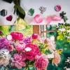 Milliwood - Blossom window
