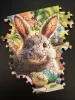 Milliwood - Easter Bunny