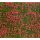 Noch - Groundcover Foliage, Meadow Red (12 X 18 Cm, 70 G)