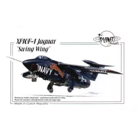 Planet Models - Grumman XF-10F-1 Jaguar Swing Wing