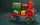 Plus model - Stable engine
