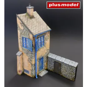 Plus model - French house