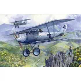 Roden - Pfalz D.III