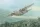 Roden - Fairchild C-123K/UC-123K