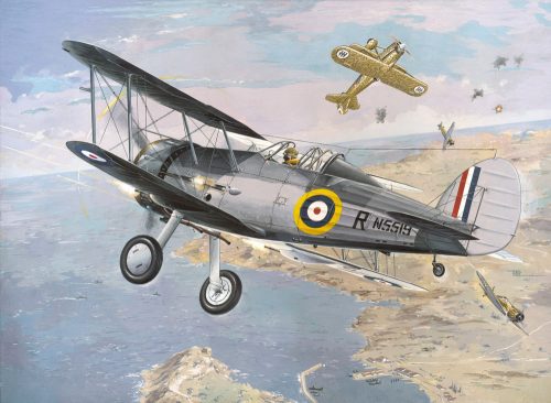 Roden - Gloster Sea Gladiator