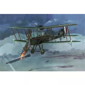 Roden - RAF Be12b