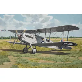Roden - De Havilland DH4a (passenger)