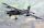 Roden - Pilatus PC-6/B2-H4 Turbo Porter