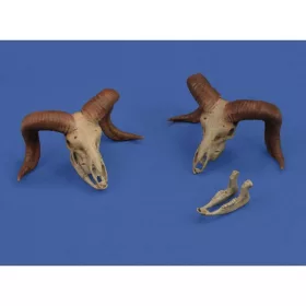 Royal Model - Mufflon skulls 3D printed