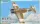 Special Hobby - Fiat G.50 B Bicomando 1/32