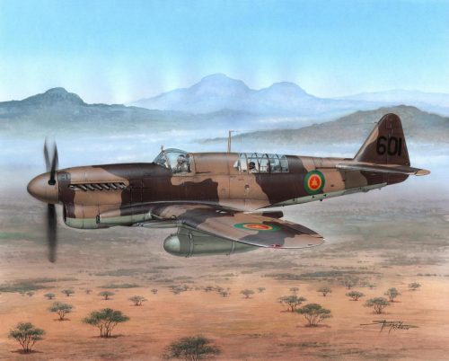 Special Hobby - Fairey Firefly FR Mk.I Foregin Post War