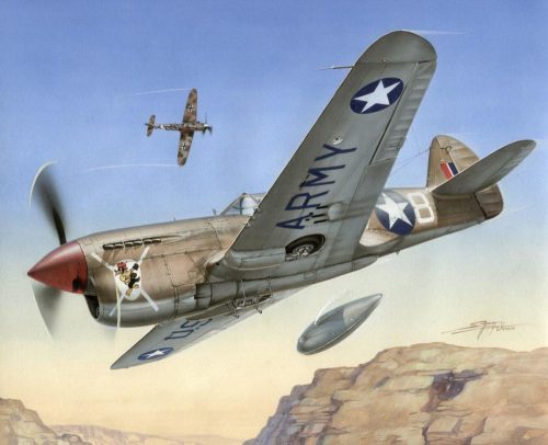 Special Hobby - Curtiss P-40-F Warhawk "Short Tails over Africa"