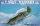 Trumpeter - P-40B/C Warhawk