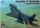 Trumpeter - Shenyang J-31 Gyrfalcon