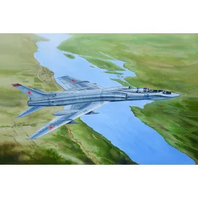 Trumpeter - Tu-128UT Fiddler