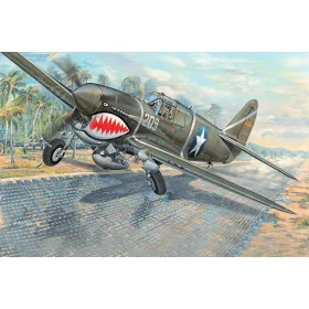 Trumpeter - P-40F War Hawk