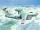 Trumpeter - Iljushin A-50 Mainstay
